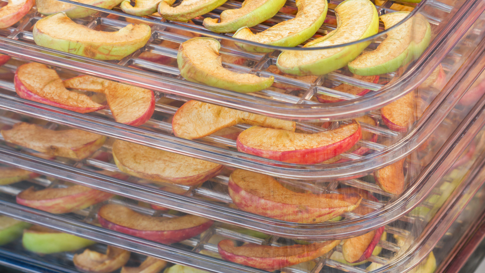 Maximize Your Kitchen’s Potential with These Food Dehydrators 2023